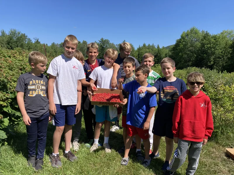 Young Camp Wigwam campers picking wild Maine blueberries on a summer trip